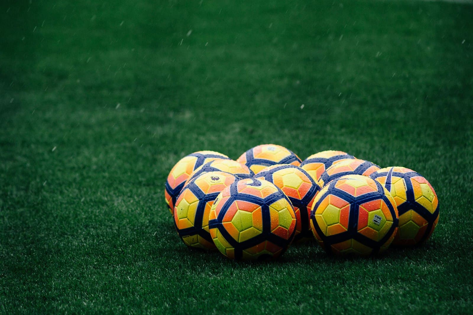 Leaside Elite Soccer Club community
